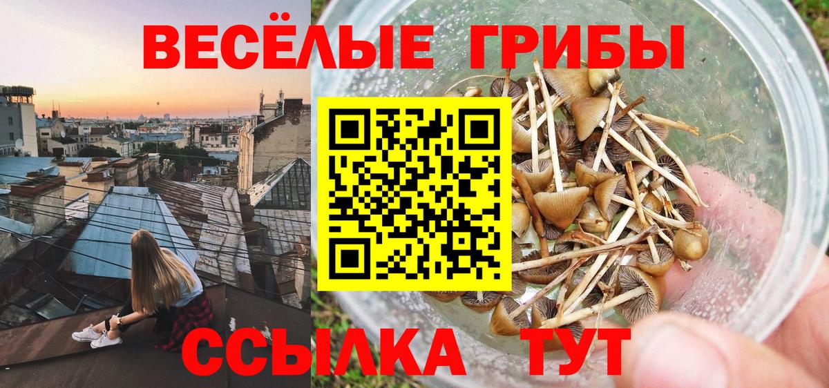 Псилоцибиновые грибы ЛСД Грозный