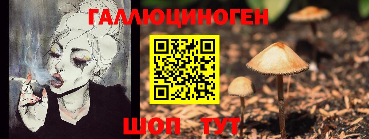 Псилоцибиновые грибы Magic Shrooms  Вход с VPN  Грозный  Галлюциногенные грибы мухоморы 